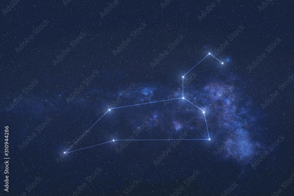Leo Constellation stars in outer space. Zodiac Sign Leo constellation lines. Elements of this image were furnished by NASA