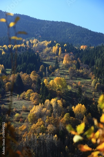 Mountain forest village in autumn. Autumn mountain village view