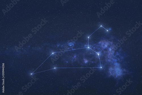 Leo Constellation stars in outer space. Zodiac Sign Leo constellation lines. Elements of this image were furnished by NASA  photo