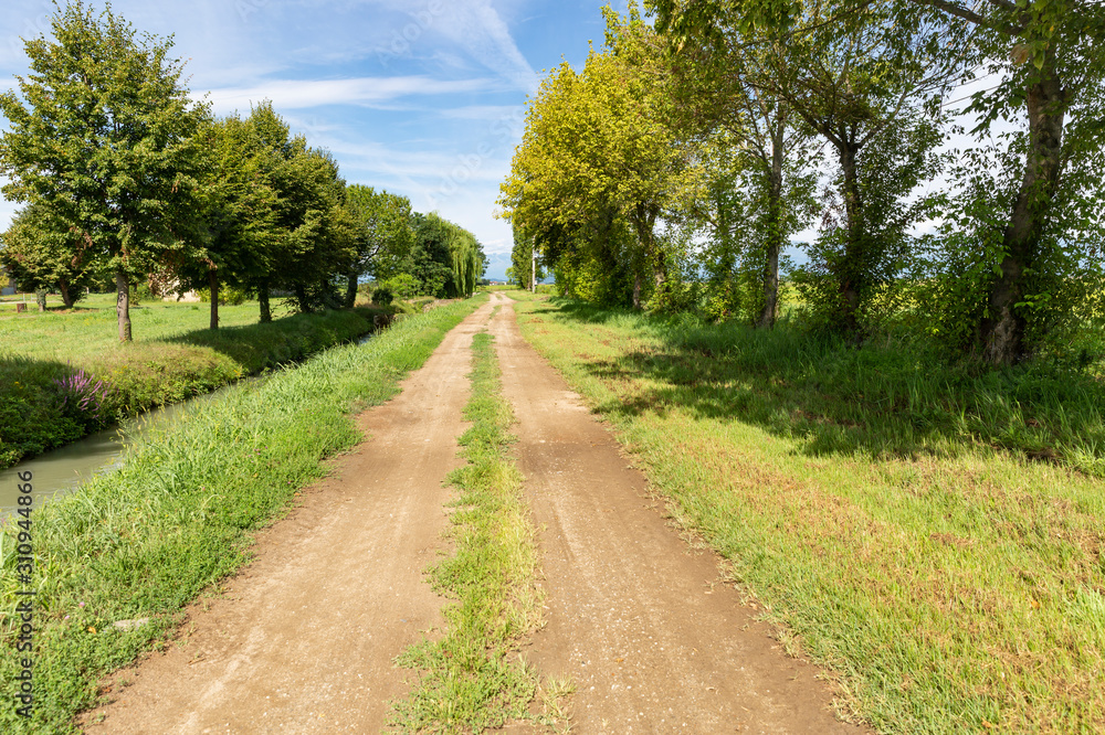 dirt road next to San Germano Vercellese, province of Vercelli, Piedmont, Italy