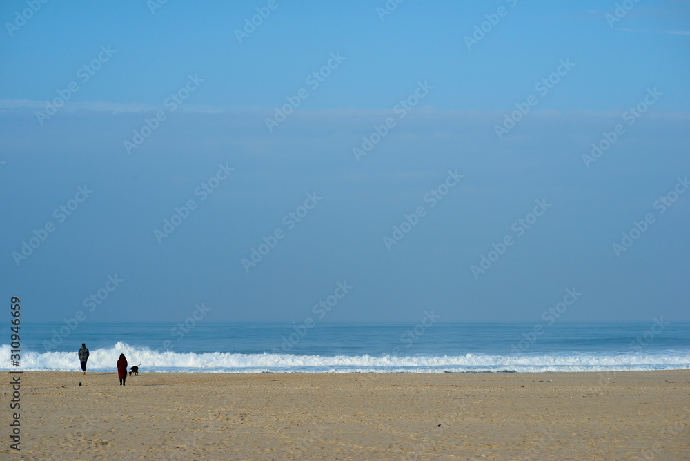 people walking the dog on the beach of Esmoriz in Portugal