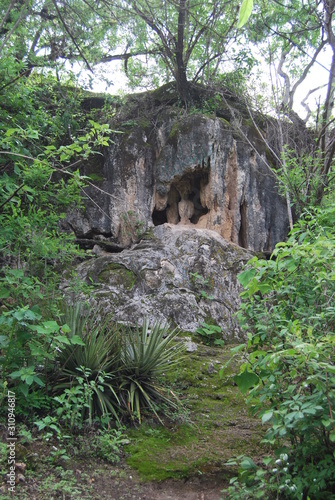 little cave in forest