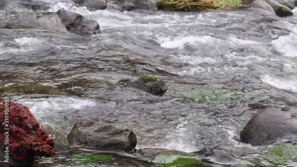 Close up of clean water flowing in a small mountain river Close up of clean water flowing in a small mountain river