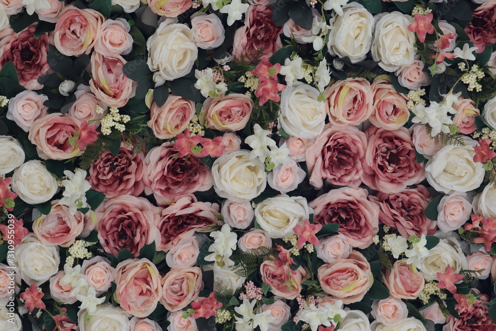Colorful beauty pink and white roses backdrop for Valentines day wedding concept background