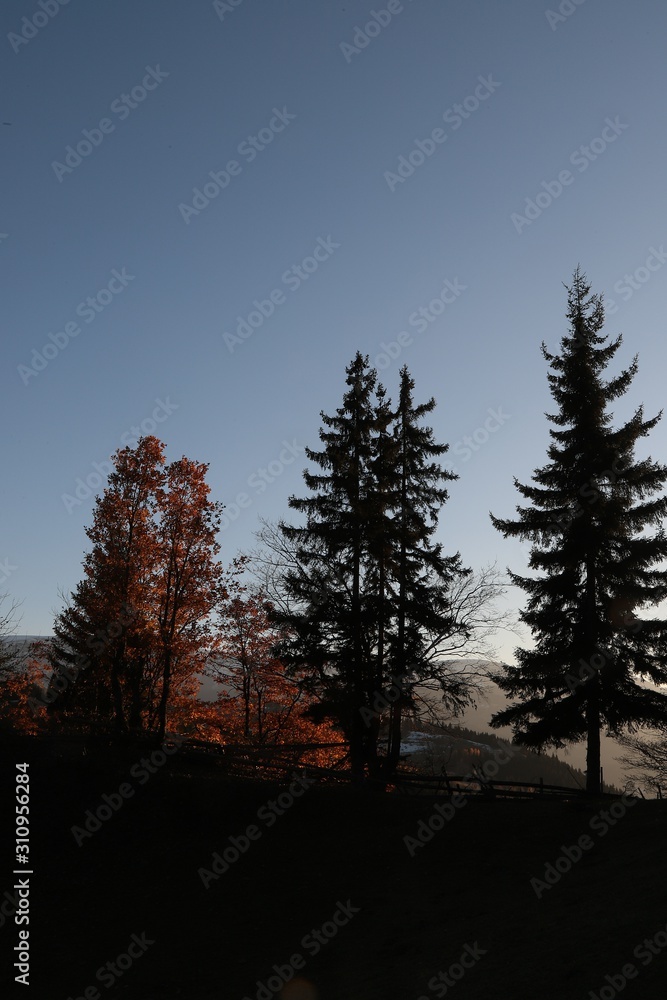 Autumn mountain forest village landscape. Mountain village in autumn.