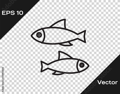 Black line Fish icon isolated on transparent background. Vector Illustration