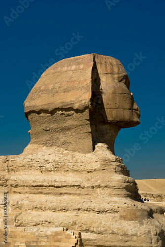 Sphinx with view  of the Great Pyramids of Giza  Cairo  Egypt