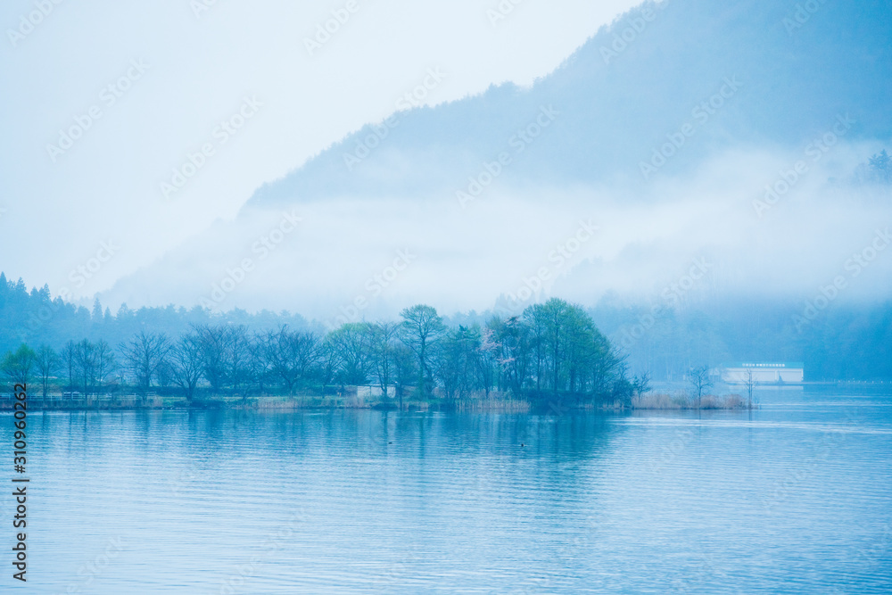 Fototapeta premium 桜 長野県大町市