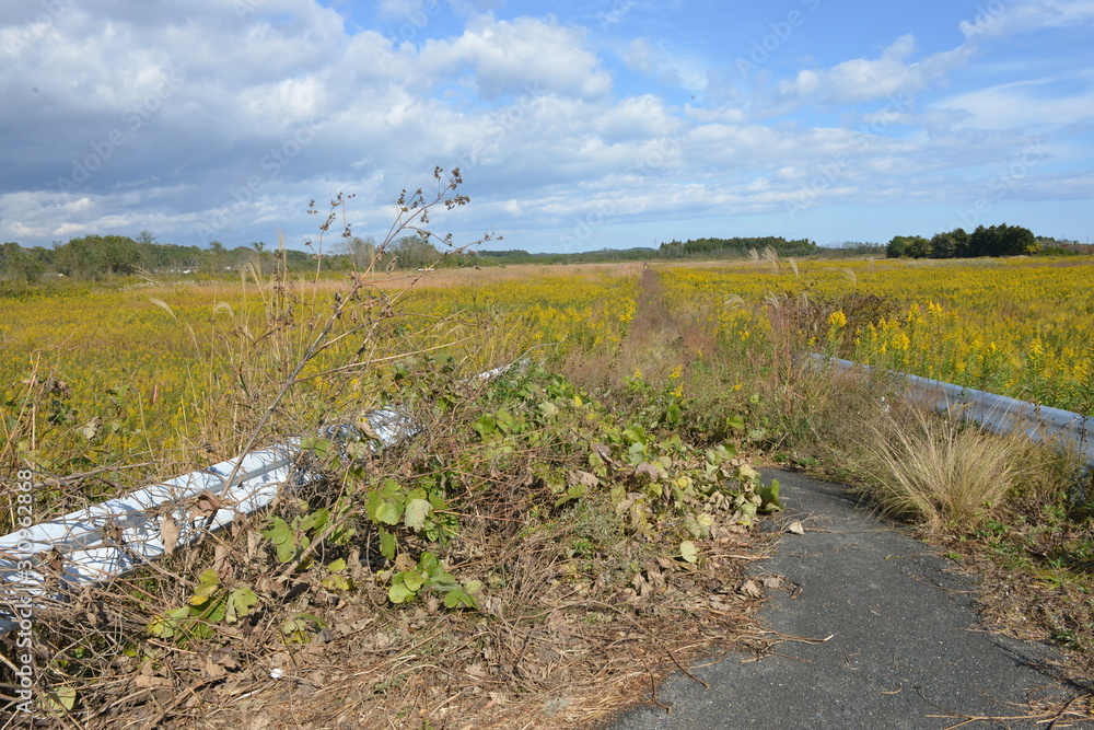 Obraz premium 帰還困難区域