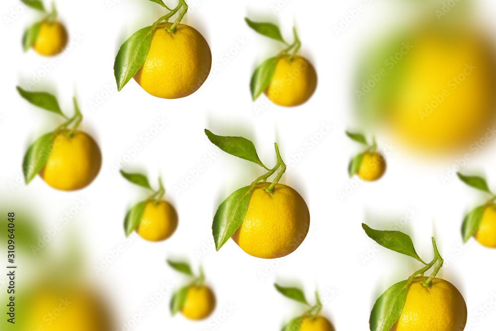 Citrus fruit pattern background. Tangerines falling isolated on white