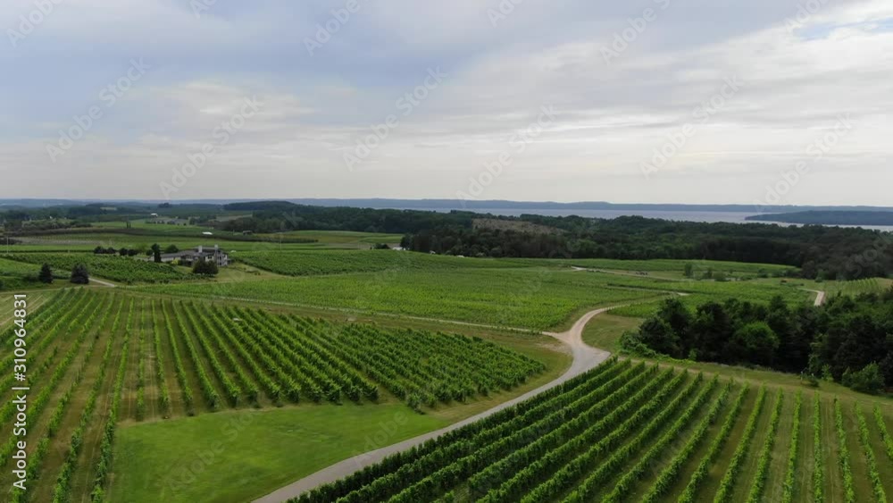 Vineyard tours Wine Tasting in Summer Grape vines Travel Trip Vacation Michigan Orchard Farm House Farming Colors in Pure Michigan Old Mission Peninsula in Traverse City Area explore adventure Vineyard tours Wine Tasting in Summer Grape vines Travel Trip Vacation Michigan Orchard Farm House Farming Colors in Pure Michigan Old Mission Peninsula in Traverse City Area explore adventure