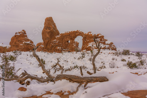 Beautiful arches national park during winter