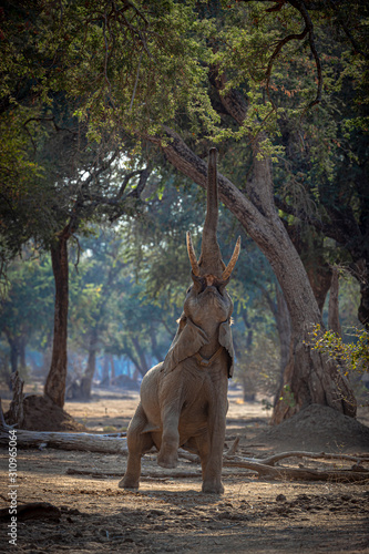 Photography Standing Ellie
