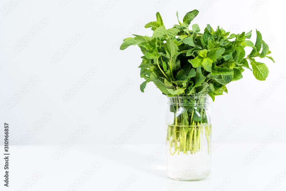 Garden mint Garden mint