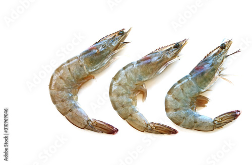 three Shrimps on white background.