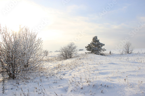 Winter day.Field covered and bushes covered with snow © I_n_g_r_i_t