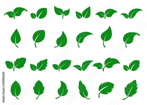 Green leaves logo. Leaf icon set. Herbal eco abstract label. Bio, vegan or pharmacy concept. Simple flat foliage design. Decorative nature silhouette. Fresh mint isolated sign. Vector tree sprout