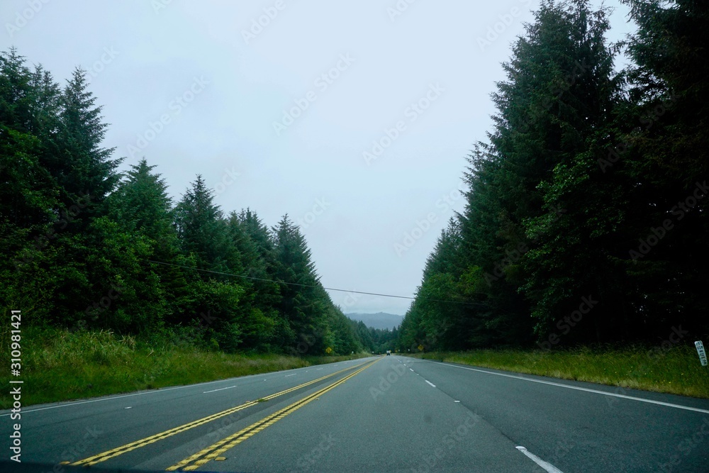 Fototapeta premium The Drive