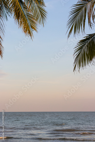 Beautiful ocean view during sunset with coconut tree in foreground, summer vacation background