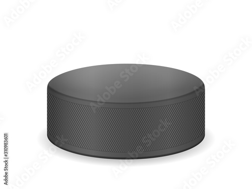 Hockey puck