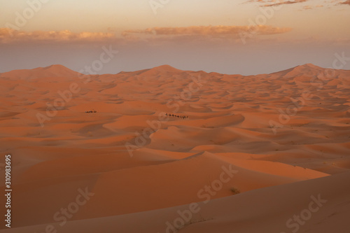 Erg Chebbi
