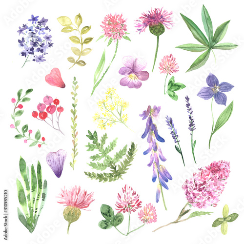 Wallpaper Mural Watercolor hand painted wildflowers Torontodigital.ca