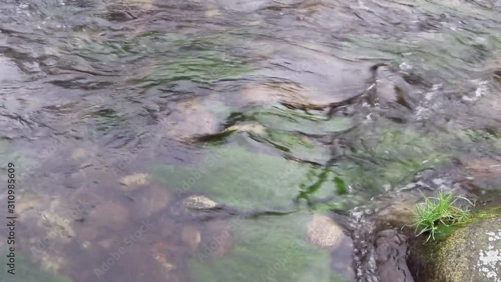 Close up of clean water flowing in a small mountain river Close up of clean water flowing in a small mountain river