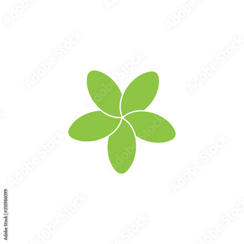 Beauty plumeria icon flowers design illustration