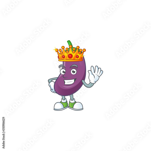 Cool King of eggplant on cartoon character style