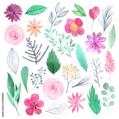 Fototapeta Naklejka Na Ścianę i Meble -  Watercolor colorful wildflowers, field plants