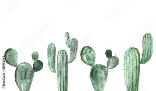 Watercolor green cactus collection