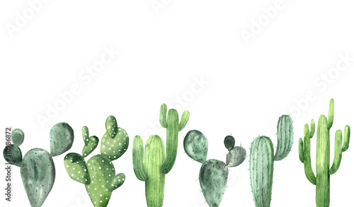 Fényképezés Watercolor green cactus collection