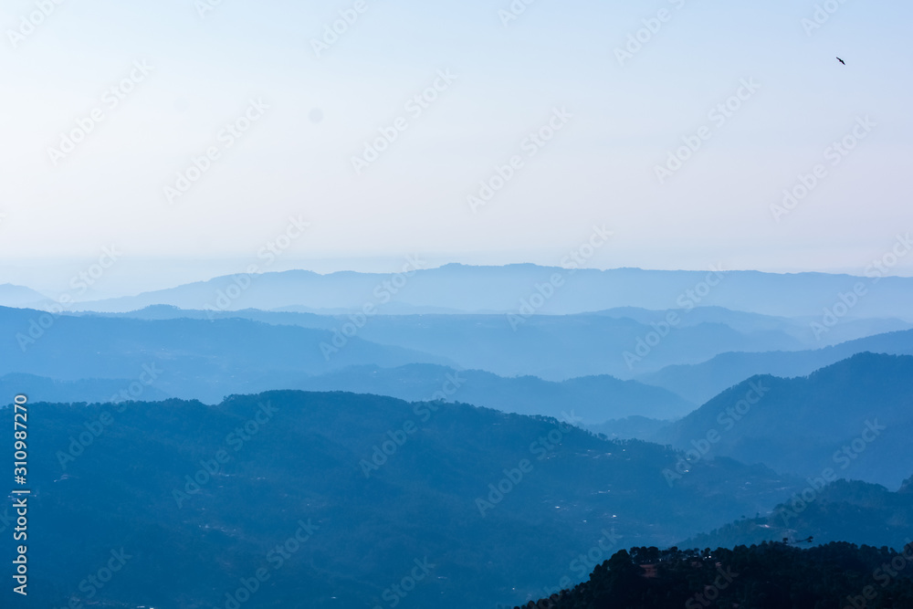 Fog in the forest mountains Fog in the forest mountains