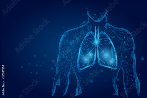 Man silhouette healthy lungs connected dots low poly wireframe. Online doctor World Tuberculosis day medicine low poly vector illustration photo