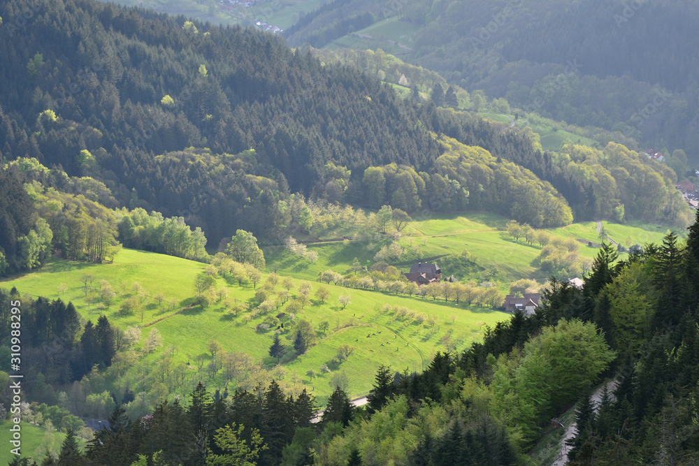 Picturesque European landscape with mixed coniferous and deciduous forest on a background of a mountain valley with houses in the forest Schwarzwald, Germany