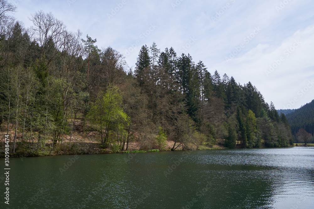 Spring forest on the background of a lake in the mountains of Schwarzwald, Germany