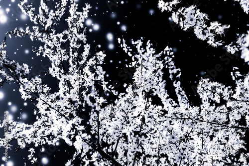 Canvas Print Christmas, New Years black floral background, holiday card design, flower tree a