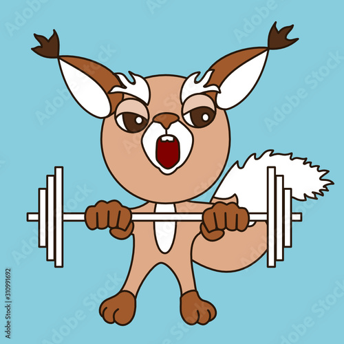 Emoticon with a cool squirrel weightlifter that stands and raises the barbell, color vector clip art on a blue isolated background