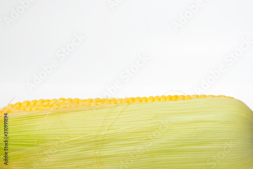 Fresh sweet corn isolated in white background.
