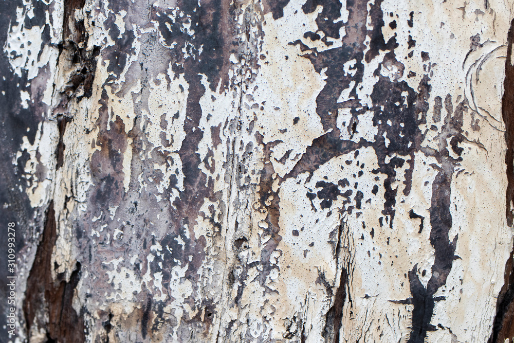 grunge wood texture lightpole grunge wood texture lightpole