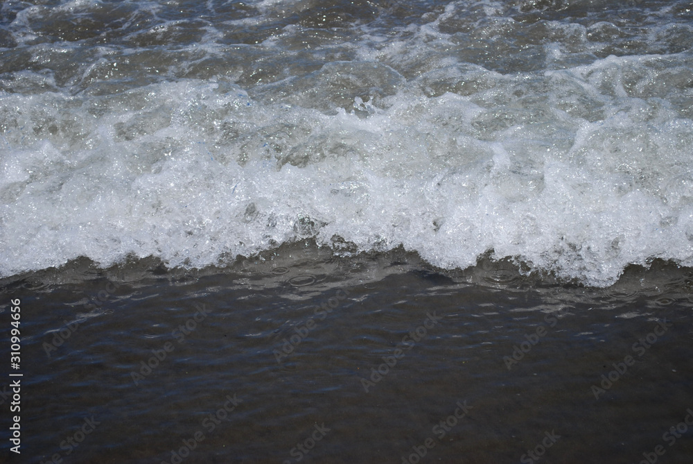 Fototapeta premium 波打ち際