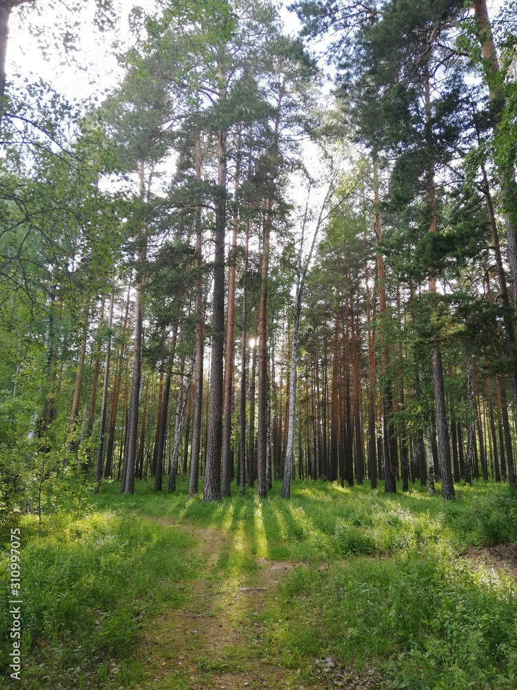 Fototapeta premium прекрасный день