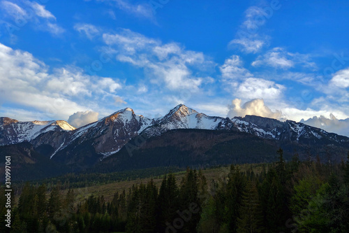 Landscape of green meadow covered with fresh grass in the summer mountains. Forest glade high in the mountains in a cloudy day. © Dzmitry