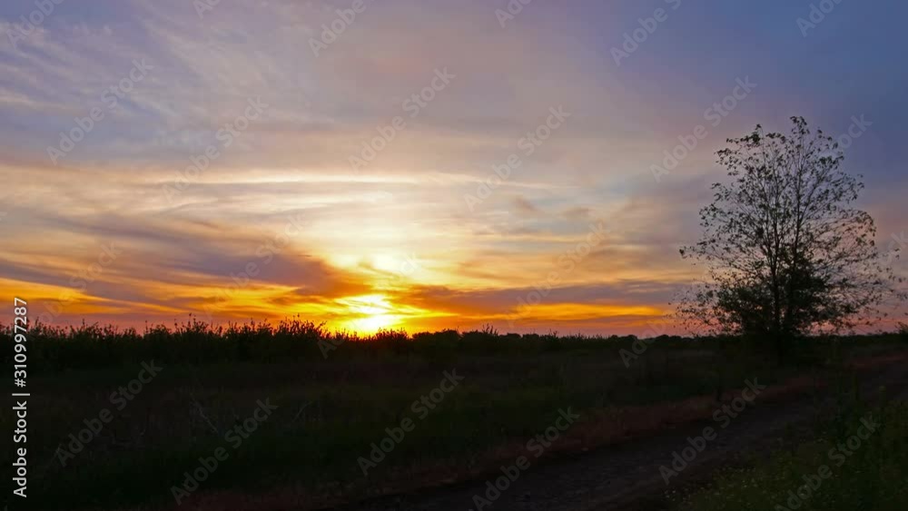 summer landscape. 4K. FULL HD, 4096x2304. summer landscape. 4K. FULL HD, 4096x2304.