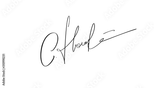 Manual signature for documents on white background. Hand drawn Calligraphy lettering Vector illustration