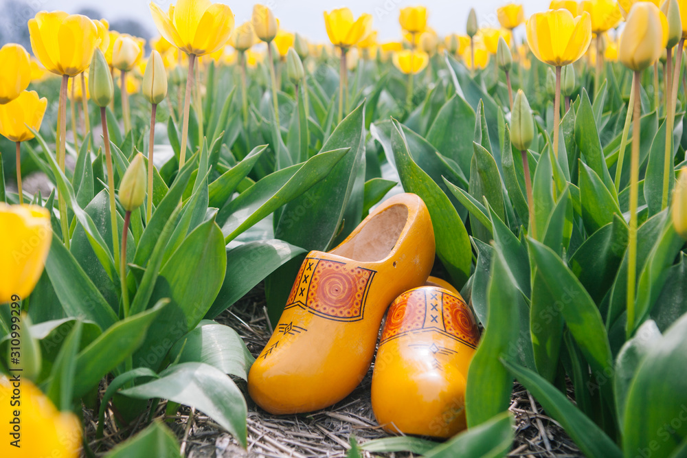 Traditional clog cheap