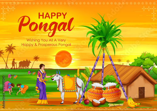 illustration of Happy Pongal Holiday Harvest Festival of Tamil Nadu South India greeting background