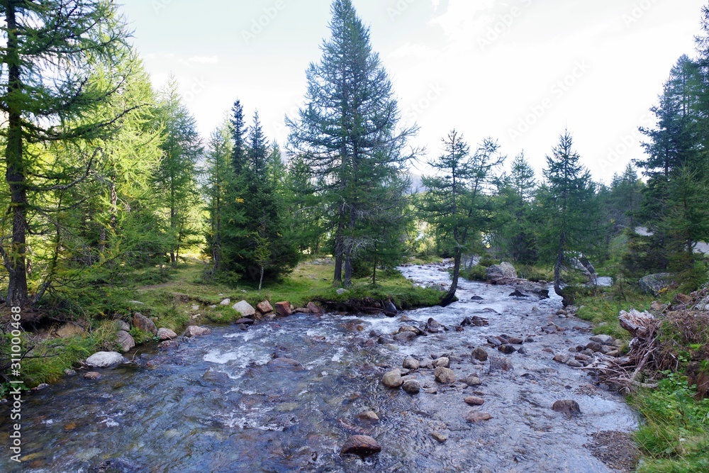 Obraz premium Bergbach