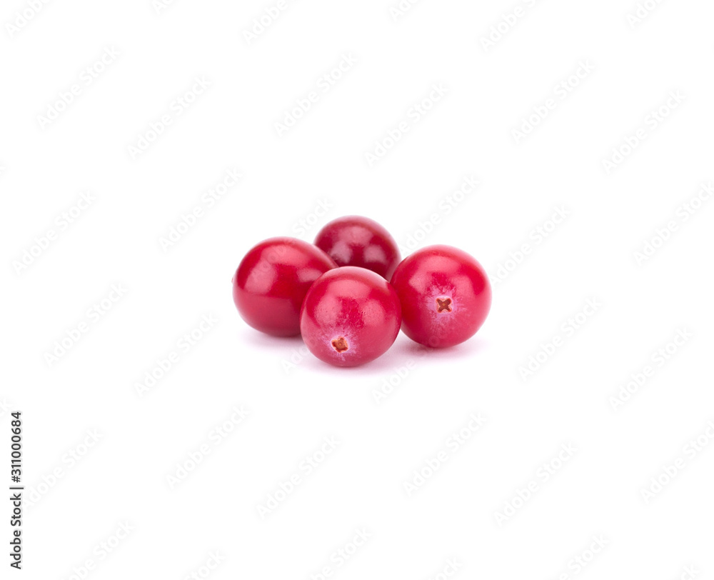 Cranberry isolated on white background closeup Cranberry isolated on white background closeup