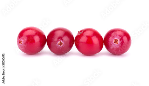 Cranberry isolated on white background closeup